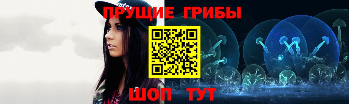 Галлюциногенные грибы Psilocybe Новошахтинск